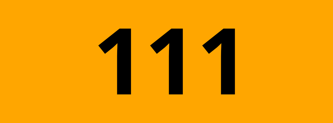 Die Folge 111